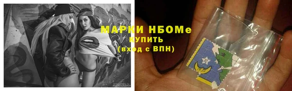 ГАЛЛЮЦИНОГЕННЫЕ ГРИБЫ Бородино