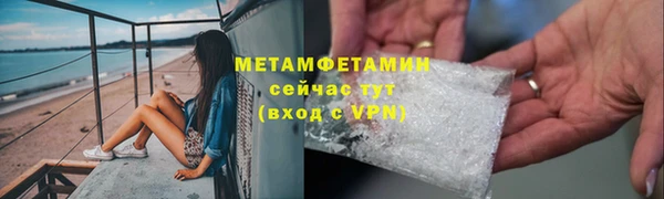 ГАЛЛЮЦИНОГЕННЫЕ ГРИБЫ Бородино