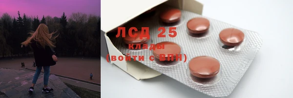 ГАЛЛЮЦИНОГЕННЫЕ ГРИБЫ Бородино