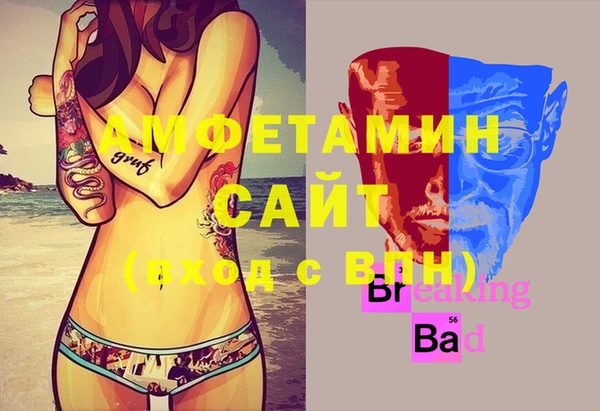 ГАЛЛЮЦИНОГЕННЫЕ ГРИБЫ Бородино