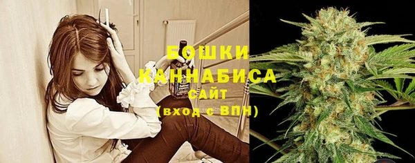 соль ск Бронницы