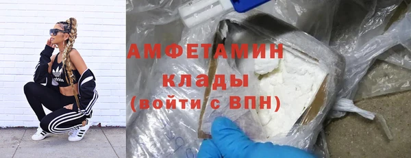 ГАЛЛЮЦИНОГЕННЫЕ ГРИБЫ Бородино